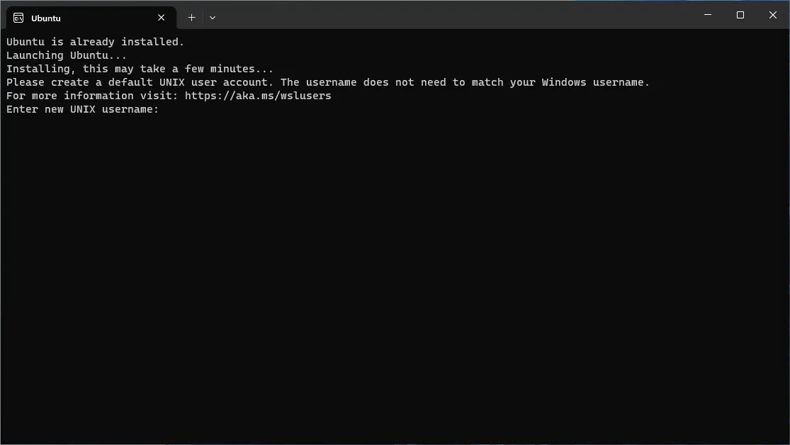 An Ubuntu terminal when first started